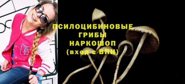 ALPHA PVP Заволжск