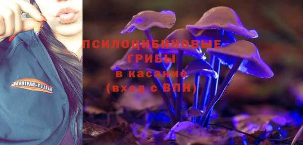 ALPHA PVP Заволжск